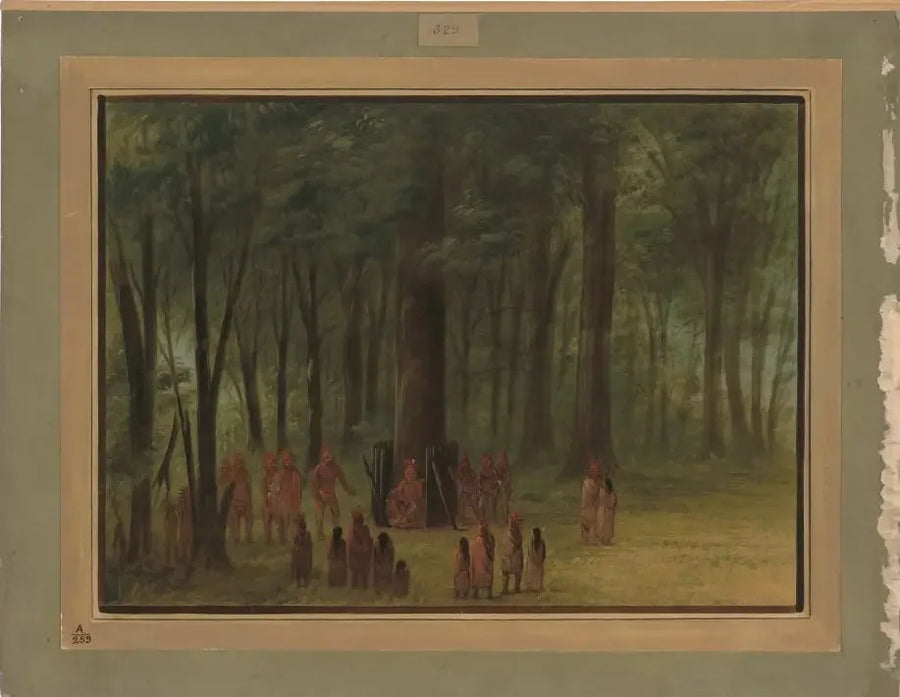 Black Hawk Anması - Saukie - George Catlin