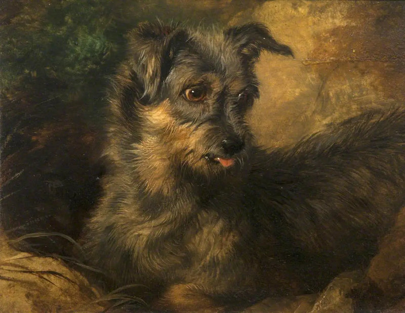 Zencefil - Edwin Henry Landseer