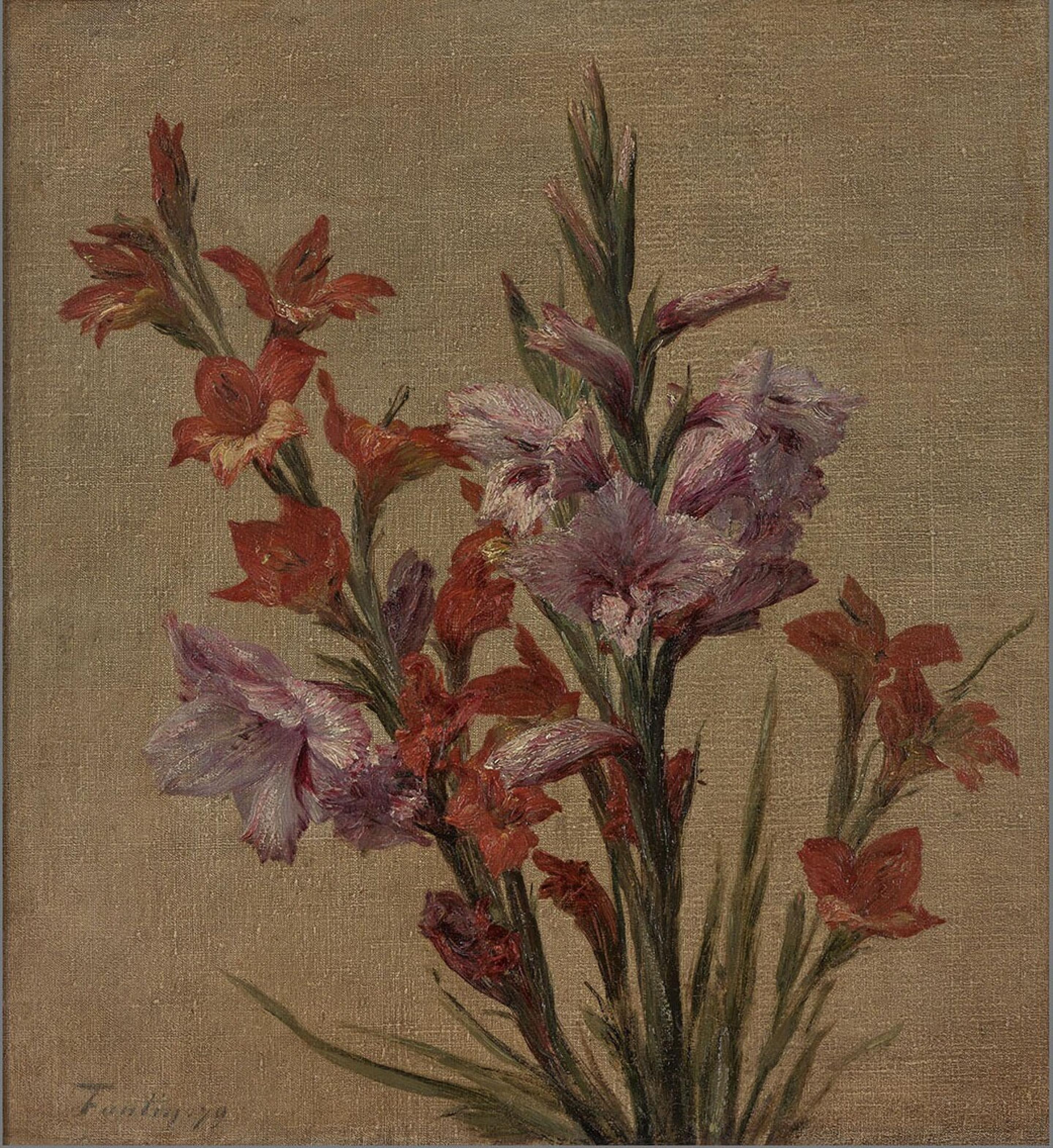 Glaïeuls - Henri Fantin-Latour