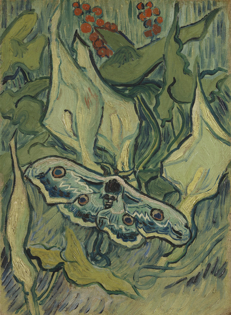 Büyük Gece Kelebeği - Vincent van Gogh