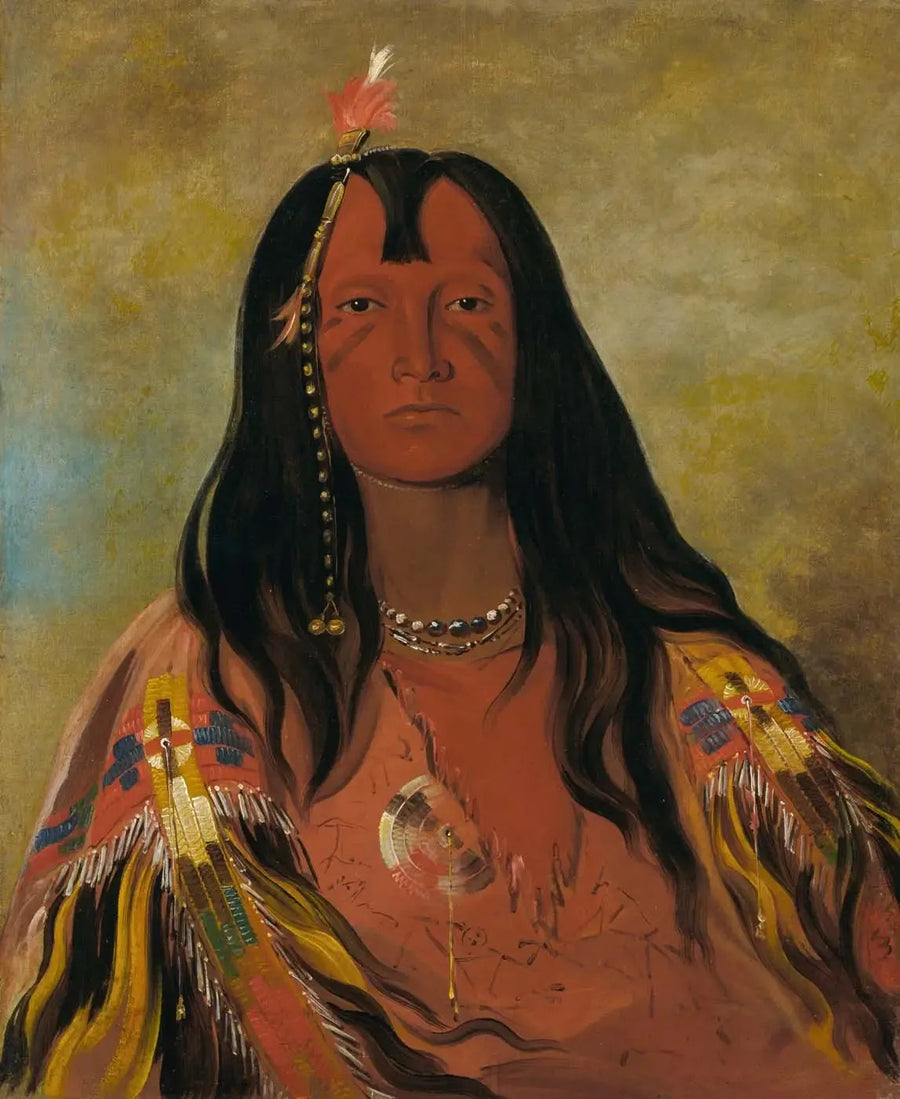 H'co-a-h'co-a-h'cotes-min, Başında boynuz yok, cesur - George Catlin