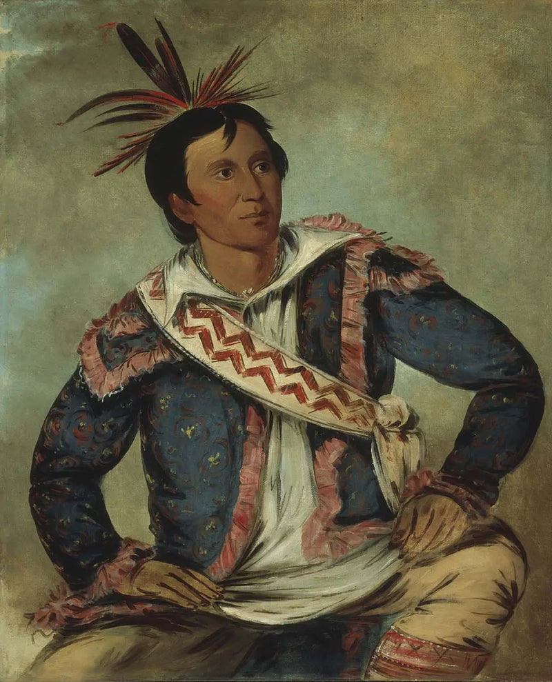 Há-tchoo-túc-knee, yılan kaplumbağa, melez - George Catlin