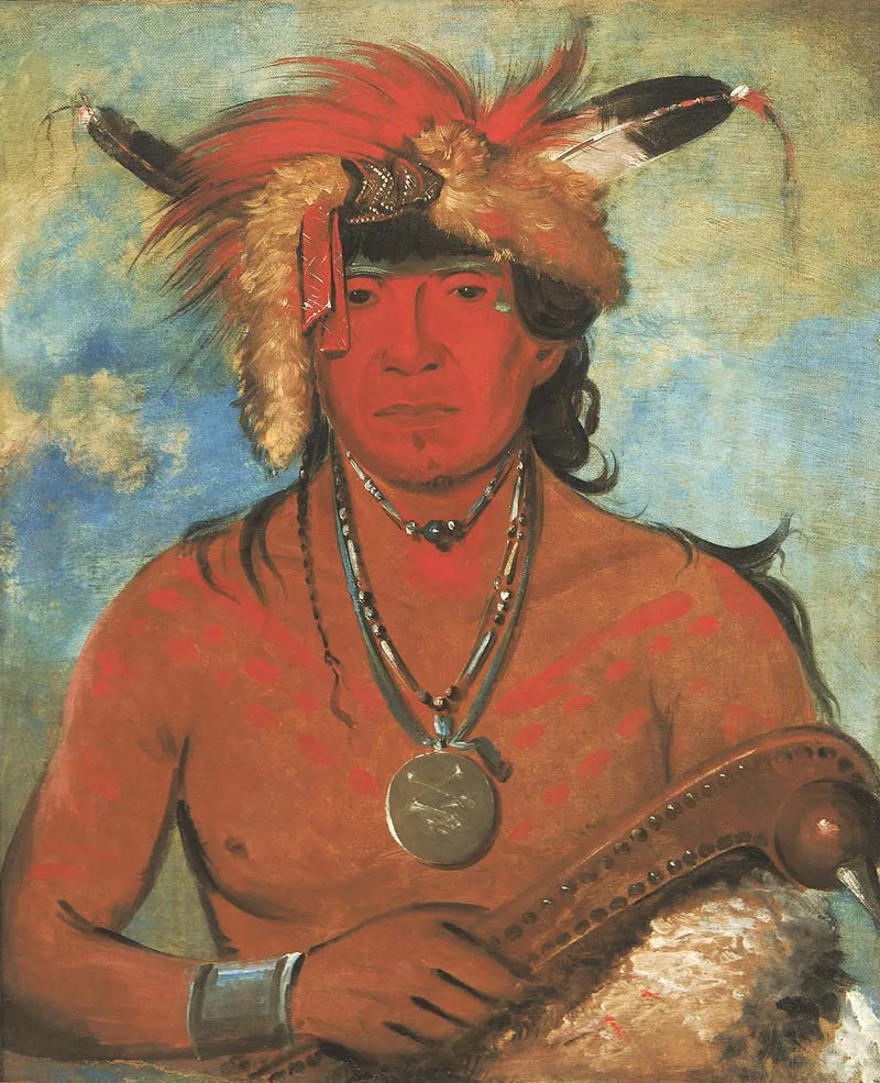 Háh-je-day-ah'-shee, Kuşlarla Buluşma, cesur - George Catlin