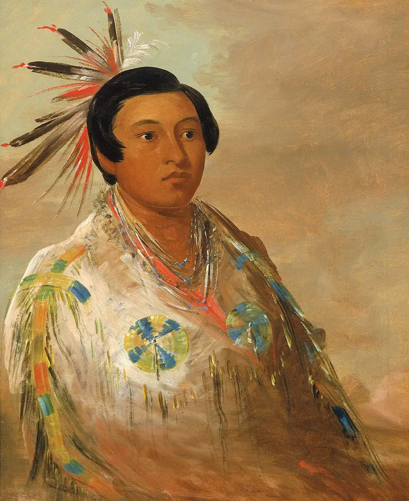 Hee-doh'ge-ats, genç bir adam - George Catlin