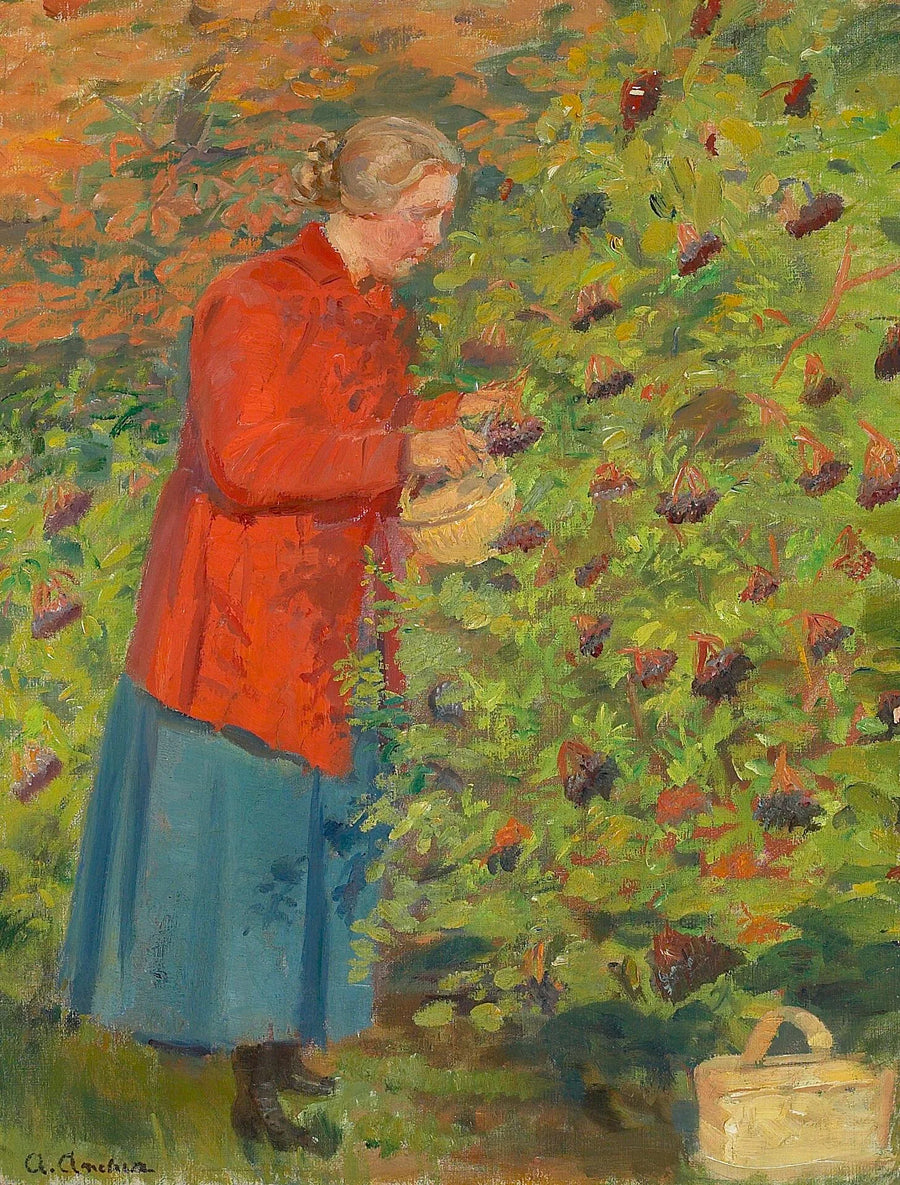Helga Ancher böğürtlen toplayarak. - Anna Ancher