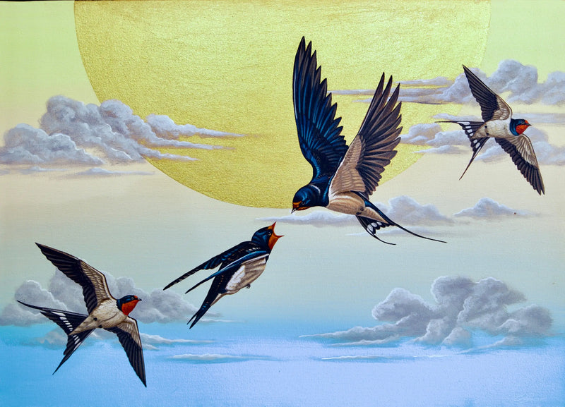 Gökyüzündeki Kırlangıç  | 70X50 cm