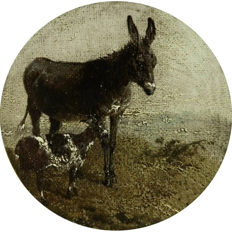 Sekiz dairesel çiftlik sahnesi: eşek ve keçi - John Frederick Herring, Sr.