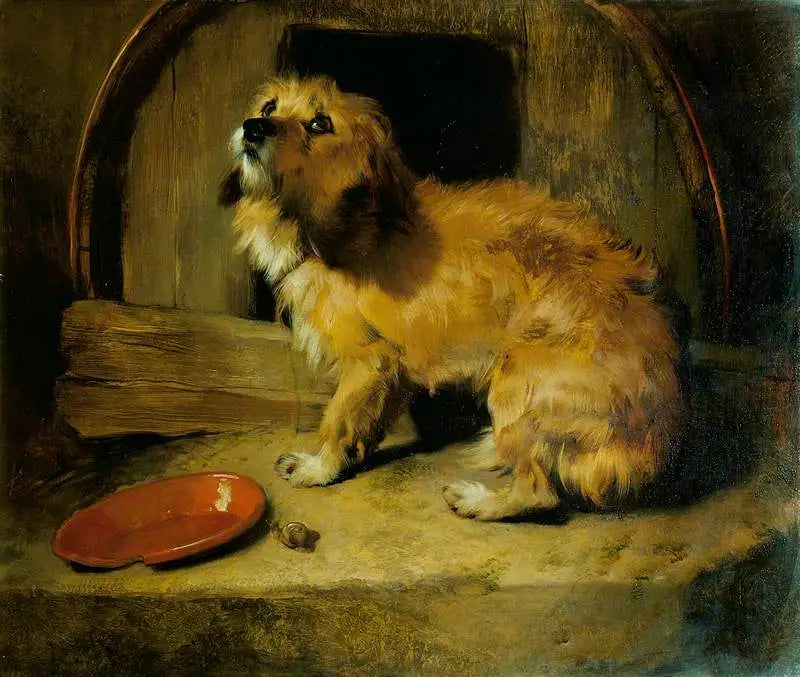 Ev Gibi Bir Yer Yok - Edwin Henry Landseer