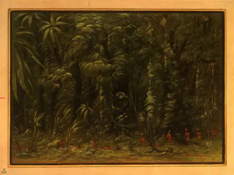 Bir Amazon Ormanı İç Mekanı - Zurumati - George Catlin