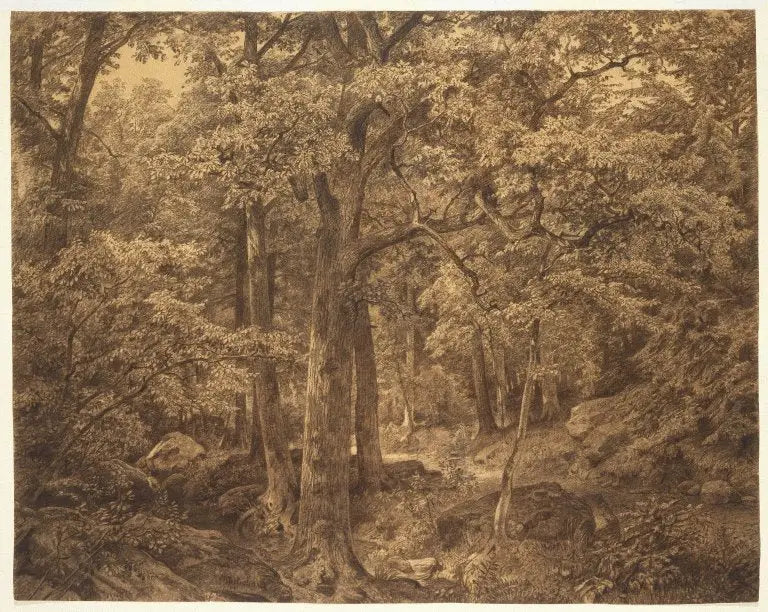 Ormanın İç Kesiti - William Trost Richards