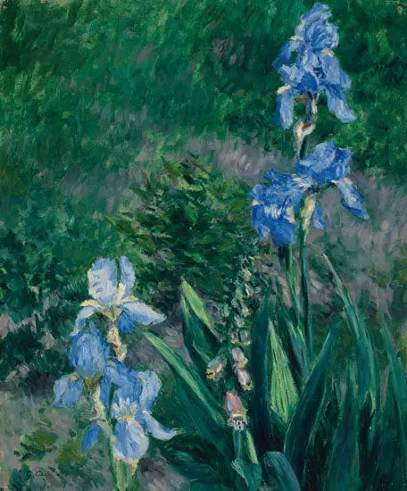 Mavi irisler, Petit Gennevilliers Bahçesi - Gustave Caillebotte
