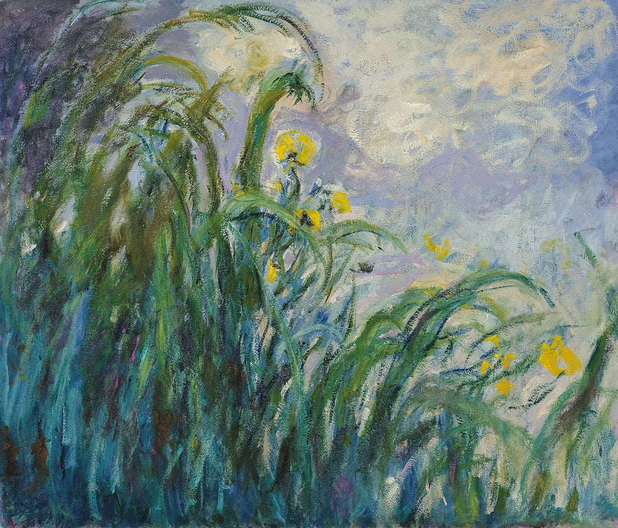 Sarı irisler - Claude Monet