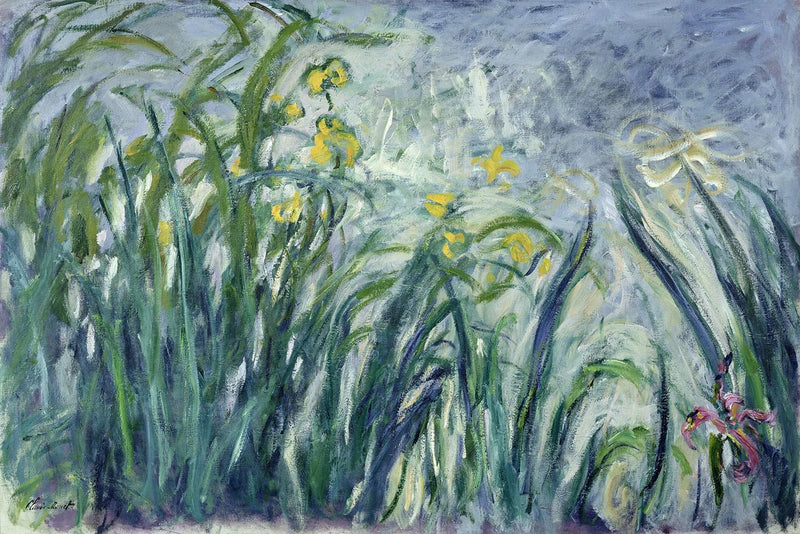Sarı ve mor irisler - Claude Monet