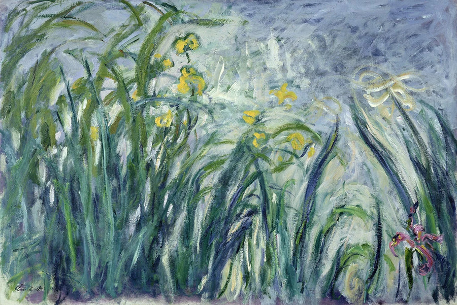 Sarı ve mor irisler - Claude Monet