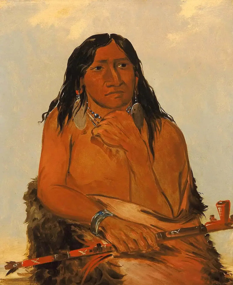 İs-sa-wáh-tám-ah, Saçlı Tüylü Kurt, bir şef - George Catlin