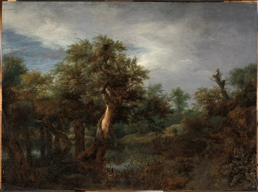 Paysage boisé au vieux chêne - Jacob van Ruisdael