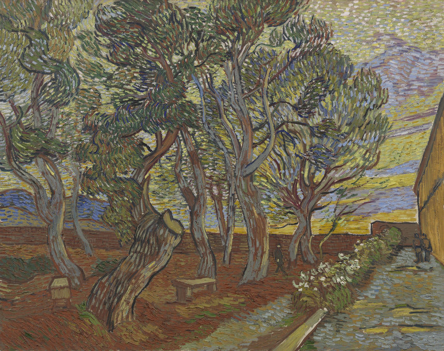 Asile Bahçesi - Vincent van Gogh