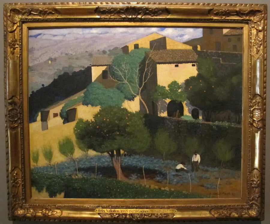 Cagnes'daki Narenciye Bahçesi - Félix Vallotton