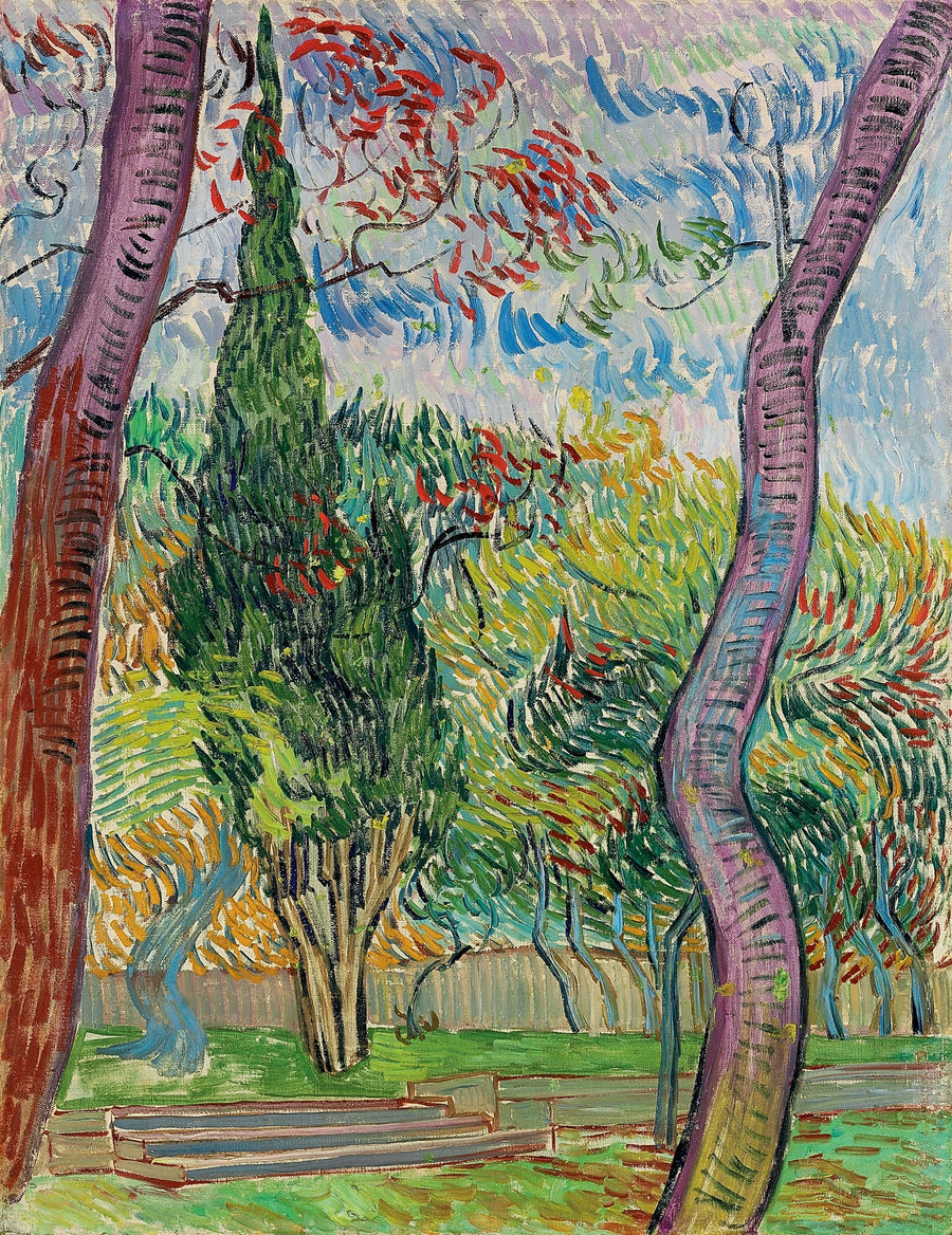 Saint-Paul Hastanesi Parkı - Vincent van Gogh