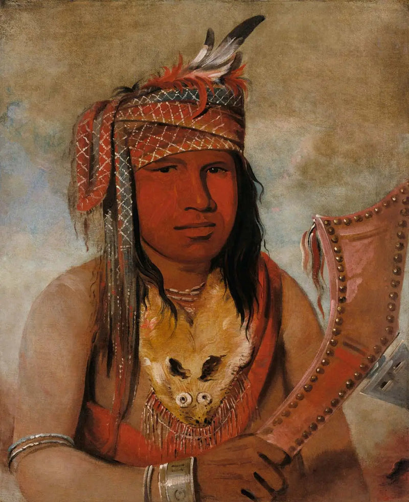 Ben bir şeyim-dick, Erkek Caribou, cesur - George Catlin