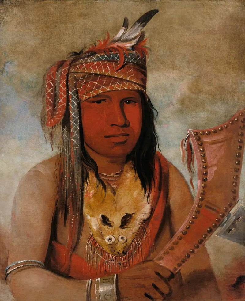 Ben bir şeyim-dick, Erkek Caribou, cesur - George Catlin
