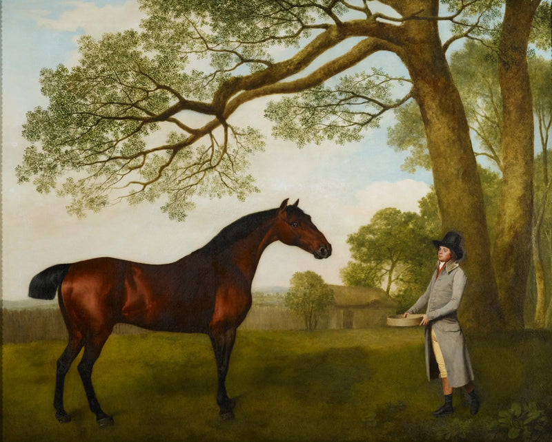 John Gascoigne ile bir açık kahverengi at - George Stubbs