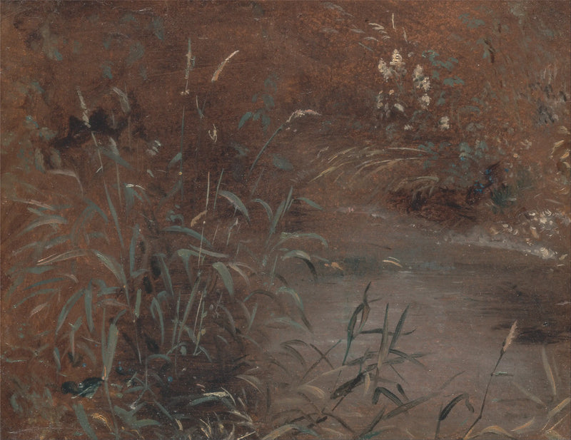 Havuz kenarında jonclar - John Constable