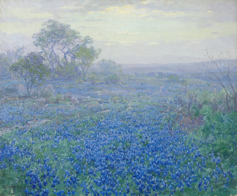 Bulutlu gün, San Antonio, Teksas yakınlarında mavi lupinler - Julian Onderdonk