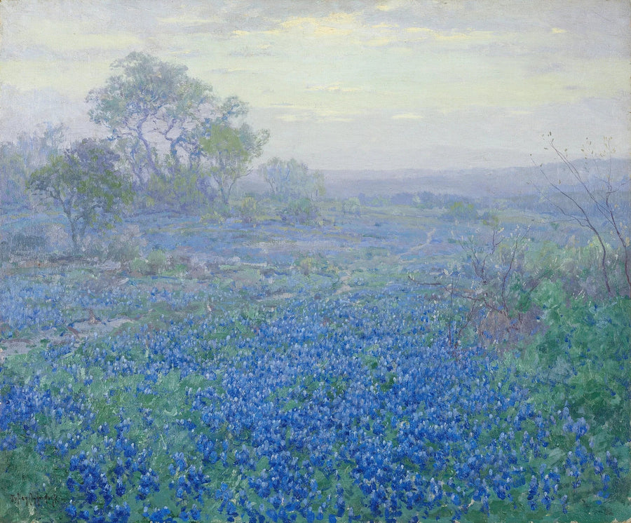 Bulutlu gün, San Antonio, Teksas yakınlarında mavi lupinler - Julian Onderdonk