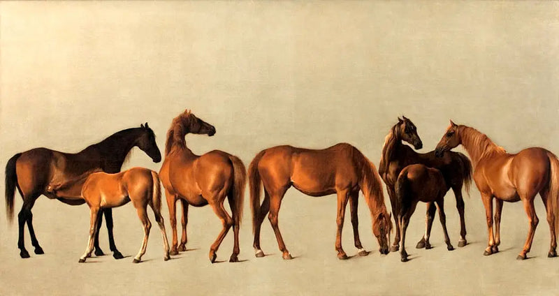 Geçmişi olmayan dişi atlar ve taylar - George Stubbs