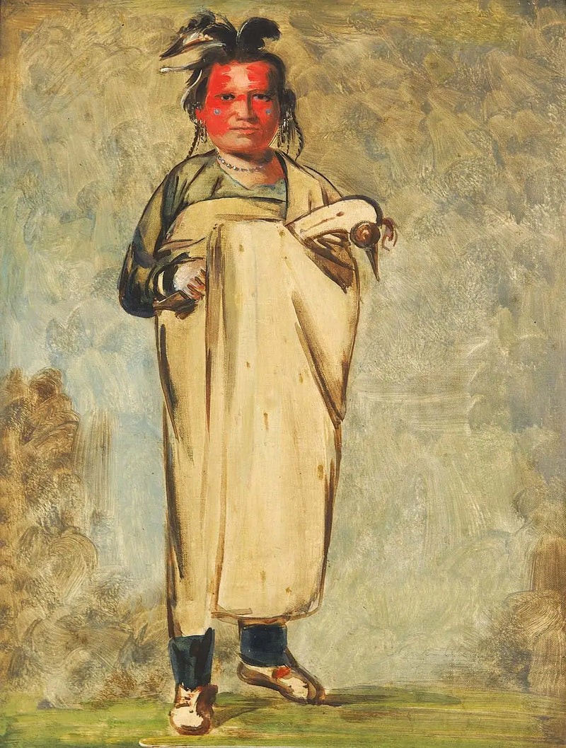 Káw-kaw-ne-chóo-a, bir Cesur - George Catlin