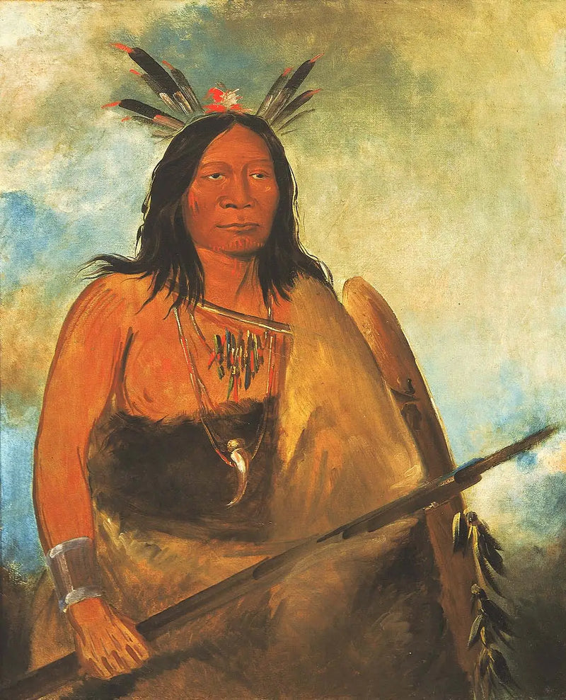 Kots-o-kó-ro-kó, Boğanın Boyun Tüyü, bir başyapıt - George Catlin