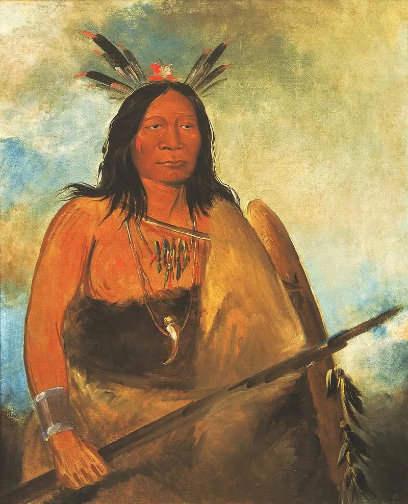 Kots-o-kó-ro-kó, Boğanın Boyun Tüyü, bir başyapıt - George Catlin