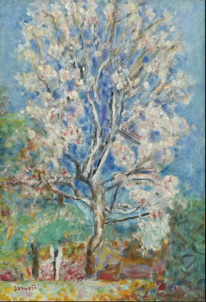 Çiçek Açan Badem Ağacı - Pierre Bonnard