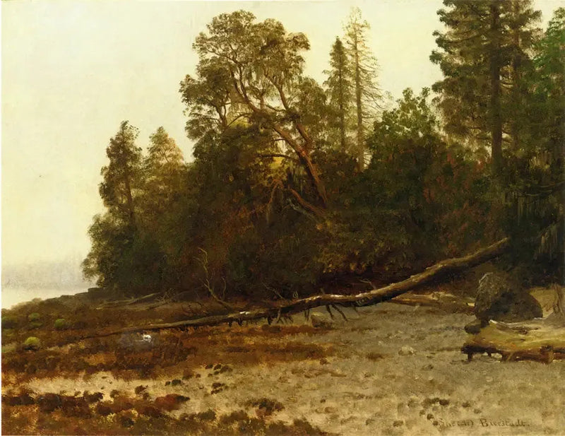 Düşen Ağaç - Albert Bierstadt