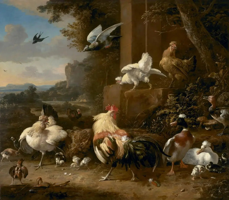 Ahır - Melchior de Hondecoeter