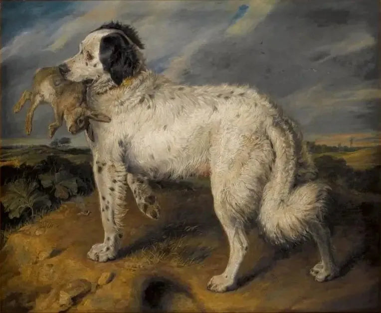 Şampiyon: Venüs - Edwin Henry Landseer