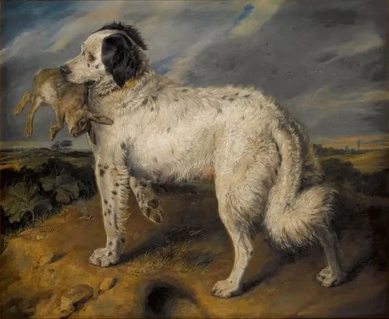 Şampiyon: Venüs - Edwin Henry Landseer