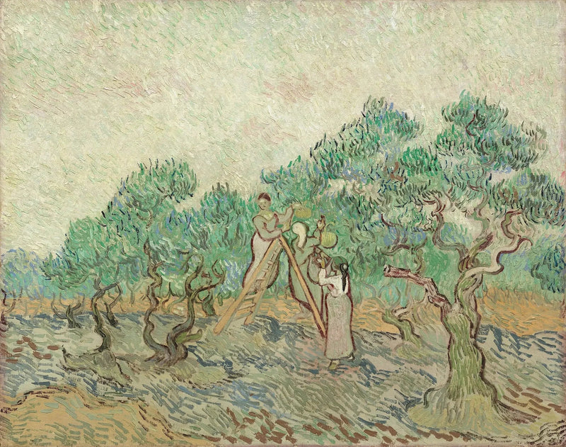 Zeytin Hasadı - Vincent van Gogh