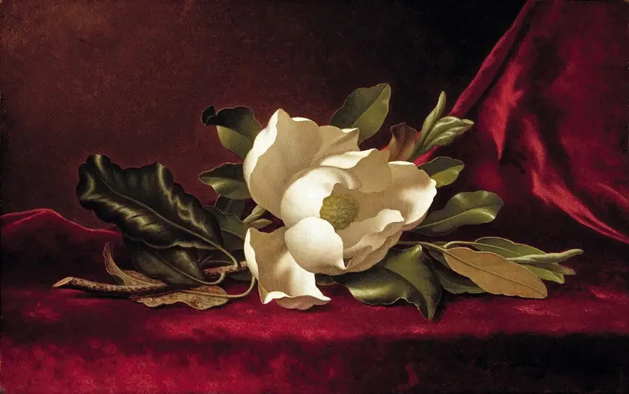 Magnolia Çiçeği - Martin Johnson Heade