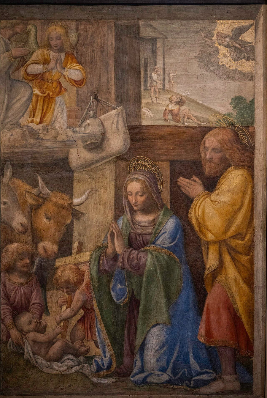 Doğuş ve Çobanlara Müjde - Bernardino Luini
