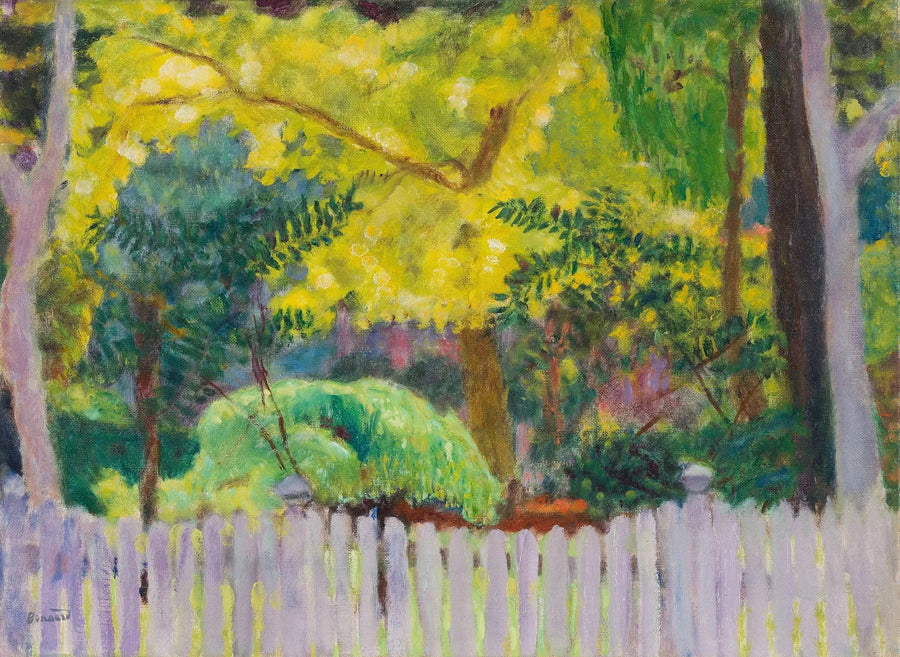 Mor Çit - Pierre Bonnard