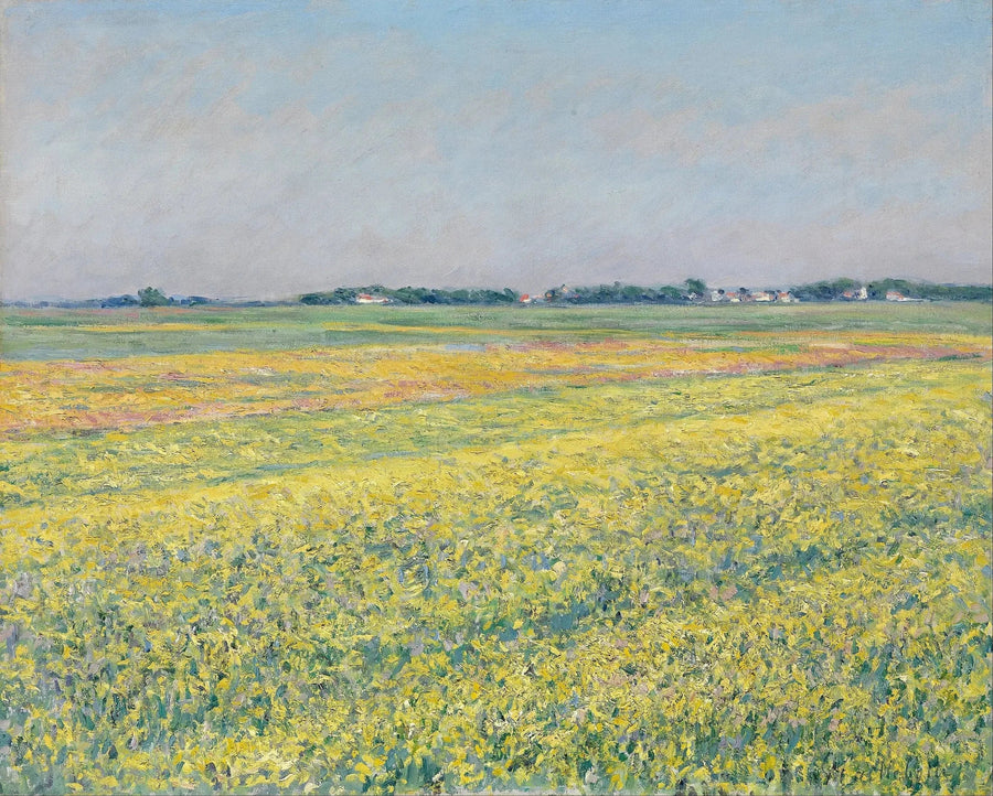 Gennevilliers Ovası, sarı tarlalar - Gustave Caillebotte
