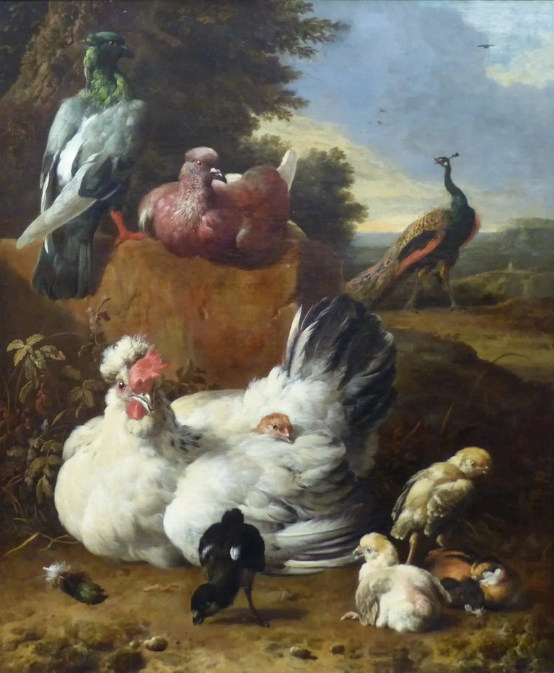 Beyaz Tavuk - Melchior de Hondecoeter
