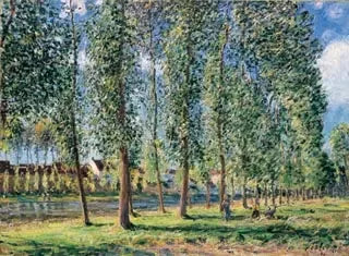 Moret'teki İğde Sırası - Alfred Sisley