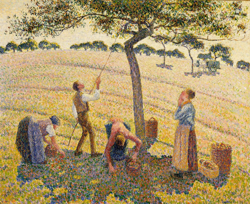 Éragny'de Elma Hasadı - Camille Pissarro