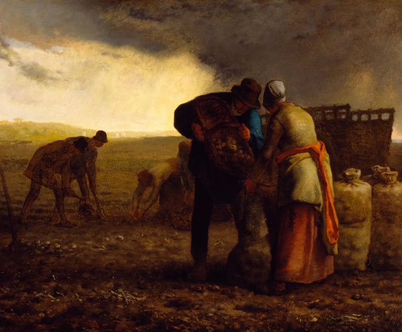 Patates Hasadı - Jean-François Millet