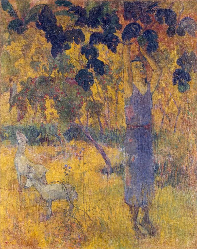 Hasat, ya da Meyve Toplayan Adam - Paul Gauguin