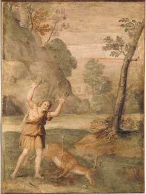 Cyparissus'nun Dönüşümü - Domenichino