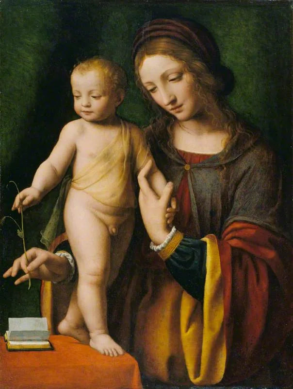 İsa Çocuk ve Ancolie ile Meryem Ana - Bernardino Luini
